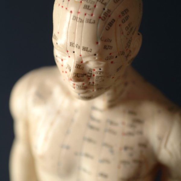 The acupuncture points of the human head and body.